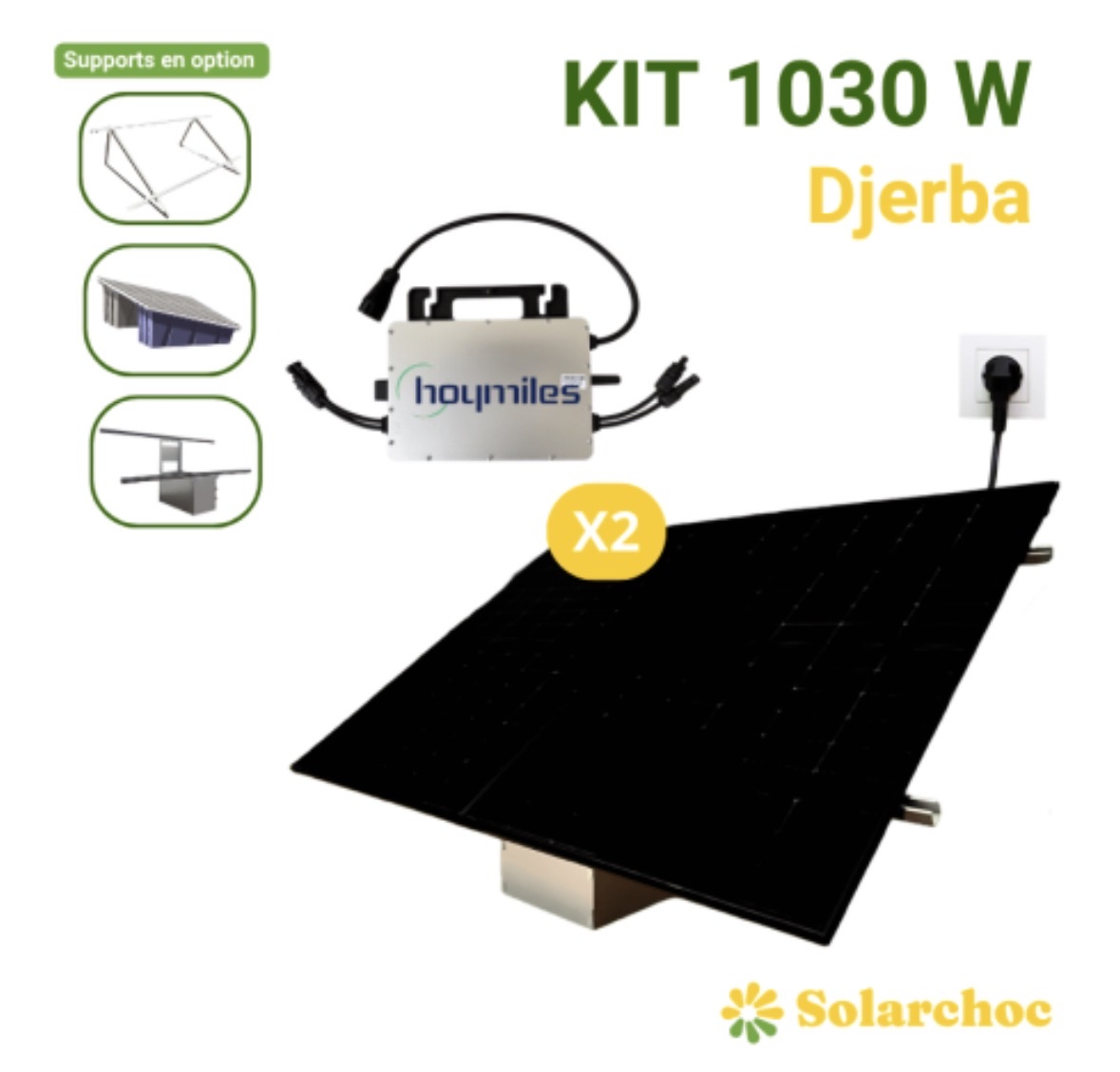 Kit solaire Plug&Play 1030W 2 panneaux DMEGC 515W + 1 micro onduleur 1000W HOYMILES Wifi intégré Autoconsommation Djerba