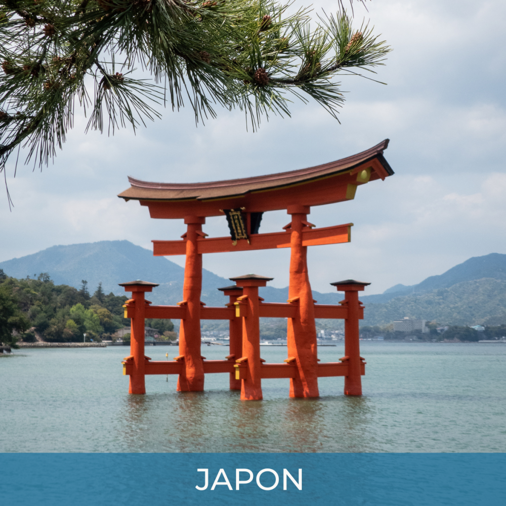 Vol avec escale Aller/Retour Genève (GVA)  Tokyo (TYO) Japon, 13 Dates, du 29 Octobre au 23 Décembre 2026 (2 Bagages en Soute)