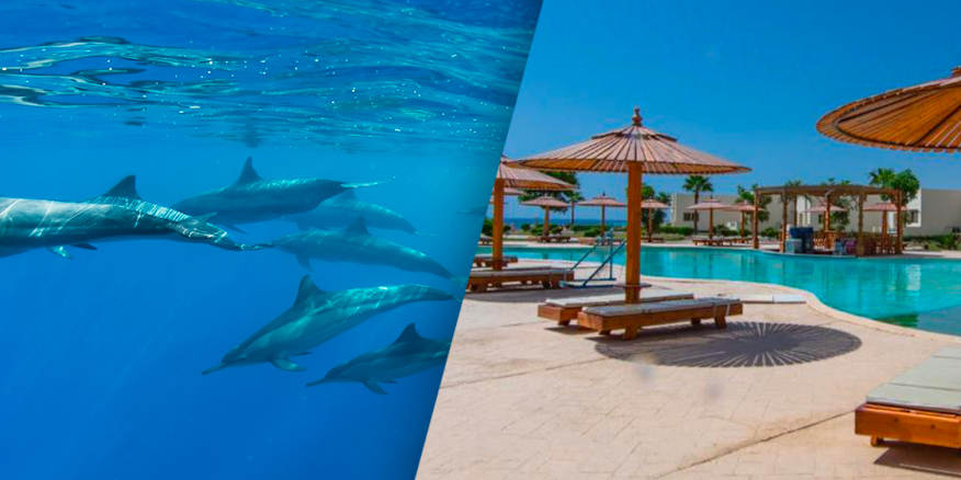 Séjour 8J/7N pour 2 à Hurghada - Aqua Park Resort 4* - Demi-pension + Croisière dauphins + Snorkeling - Vol de Paris - Décembre (439€/p)