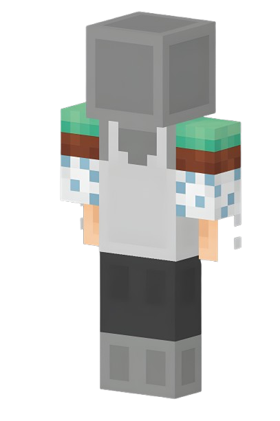 Skin minecraft gratuit (Dématérialisé - miko.fr)