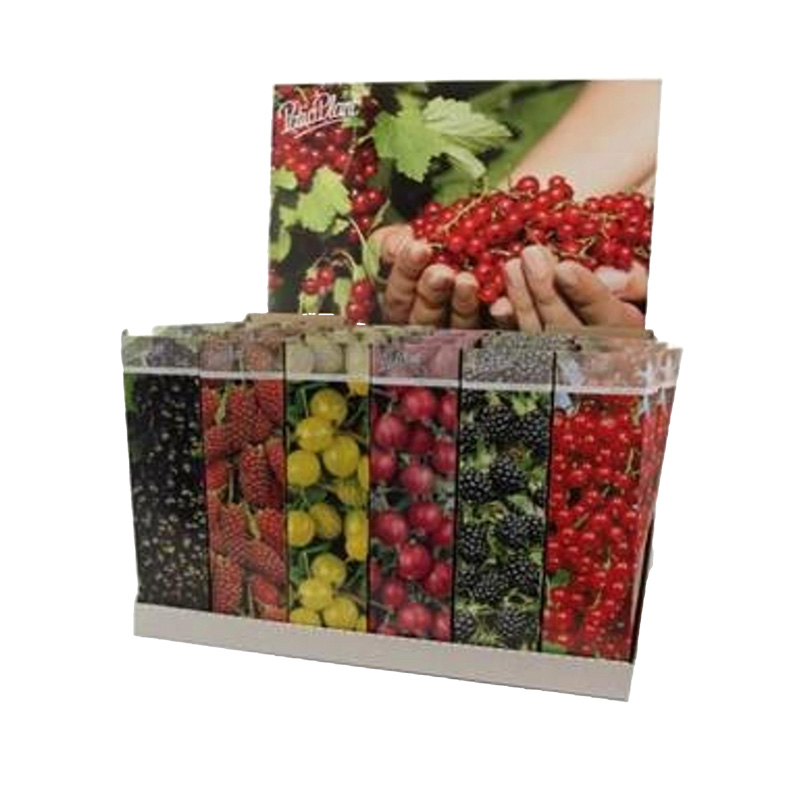 Arbuste fruitier